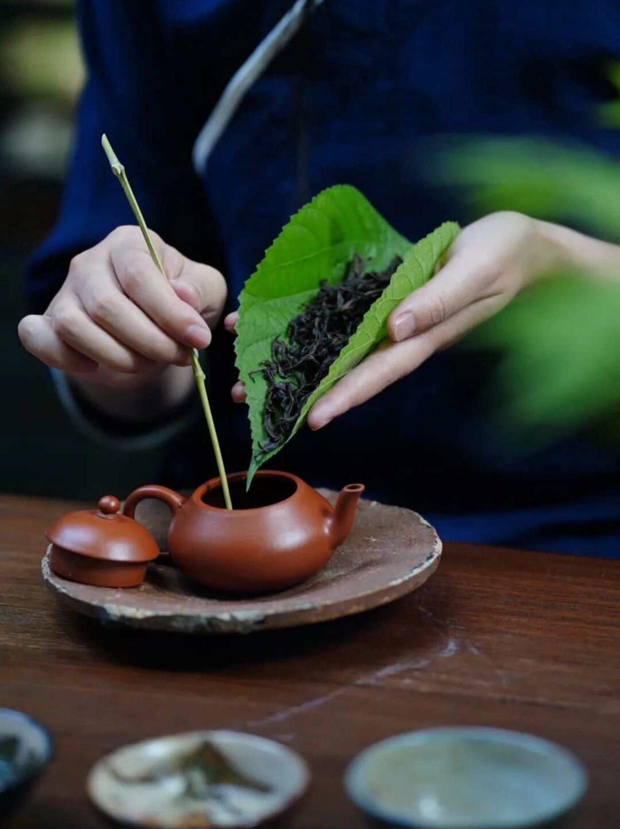 成均商学：茶香幽然，径山寻韵🌿治愈之旅